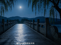 清辉月色铺满长桥晚风相伴夜色温婉
