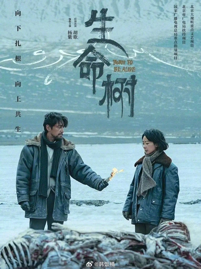 《生命树》与《繁花》讲述同年代不同地区故事