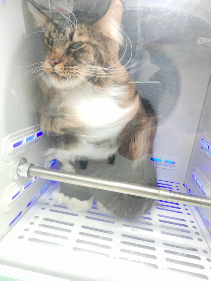 满月许愿活动开启，参与者将获三位数奖励