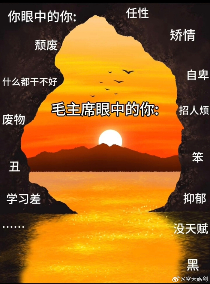 教员眼中的新生代：美好太阳与未来力量