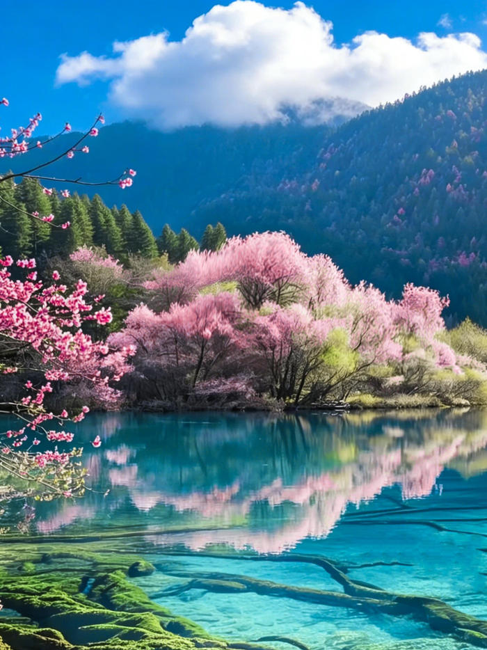 早安问候提醒小事意义