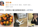 杨幂芒种晒水果与小猫合照