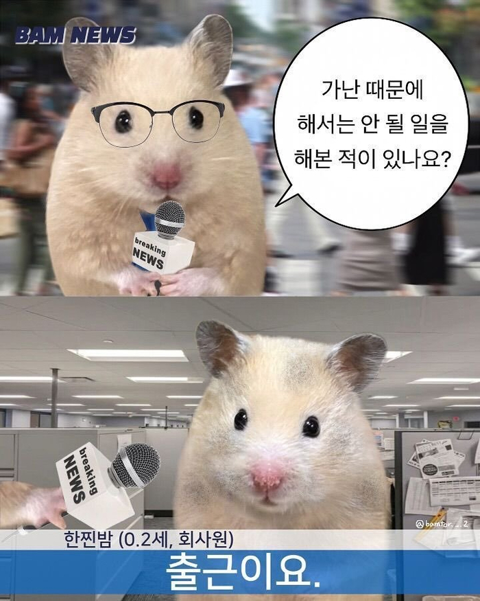 网友自曝因贫穷被迫上班