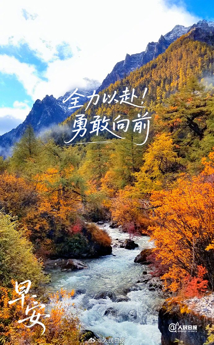 全力以赴勇敢向前，新周追光再出发