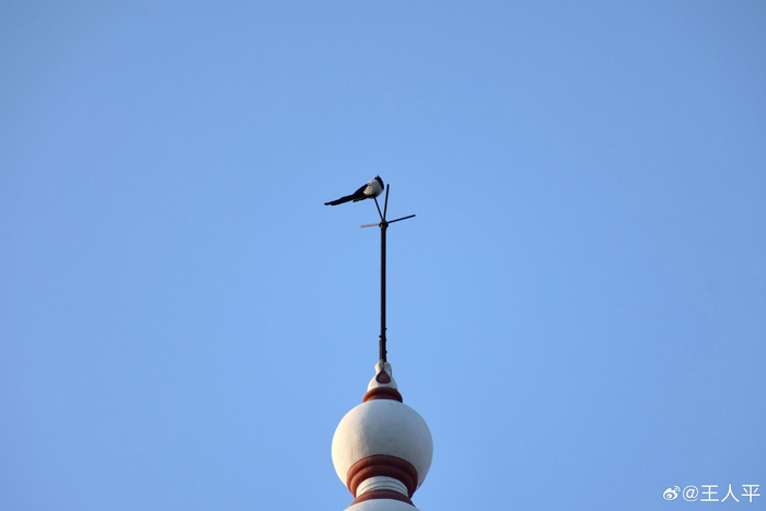 家庭教育稀缺品质松弛感为孩子成长注入力量