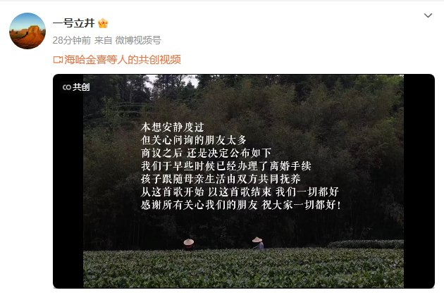 李亚鹏海哈金喜官宣离婚，孩子由双方抚养