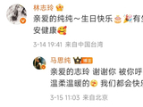 马思纯回复林志玲表达感谢