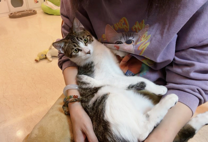 流浪动物救助日记记录放归宝宝争议