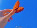 心怀善意眼存星光，温柔奔赴日常