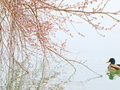北京商报发布早安图文