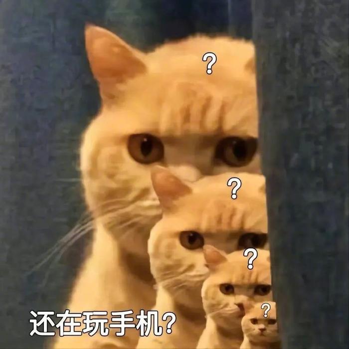 网友分享窝窝头表情包引共鸣