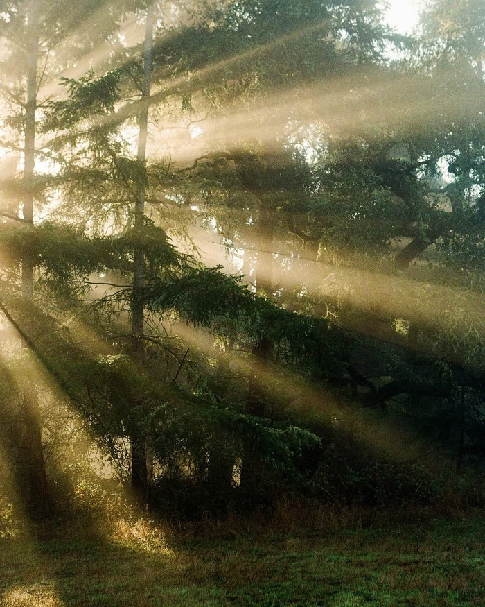 不期而遇的顺遂时刻