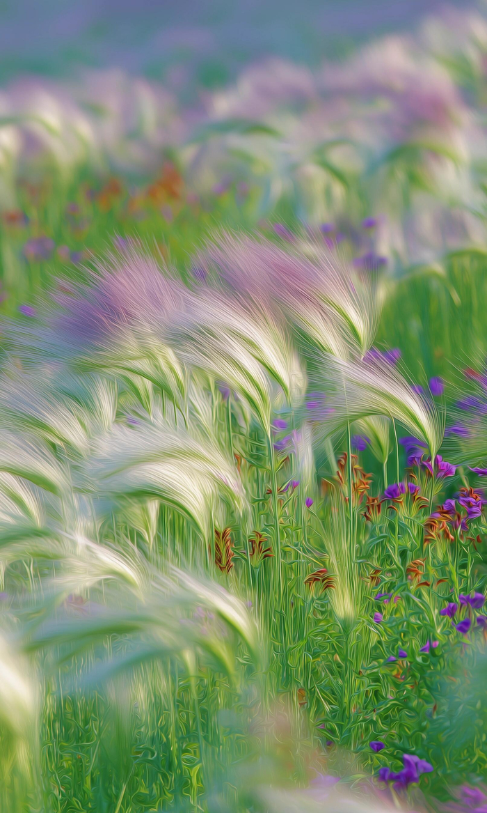 早安问候语传递温暖与希望