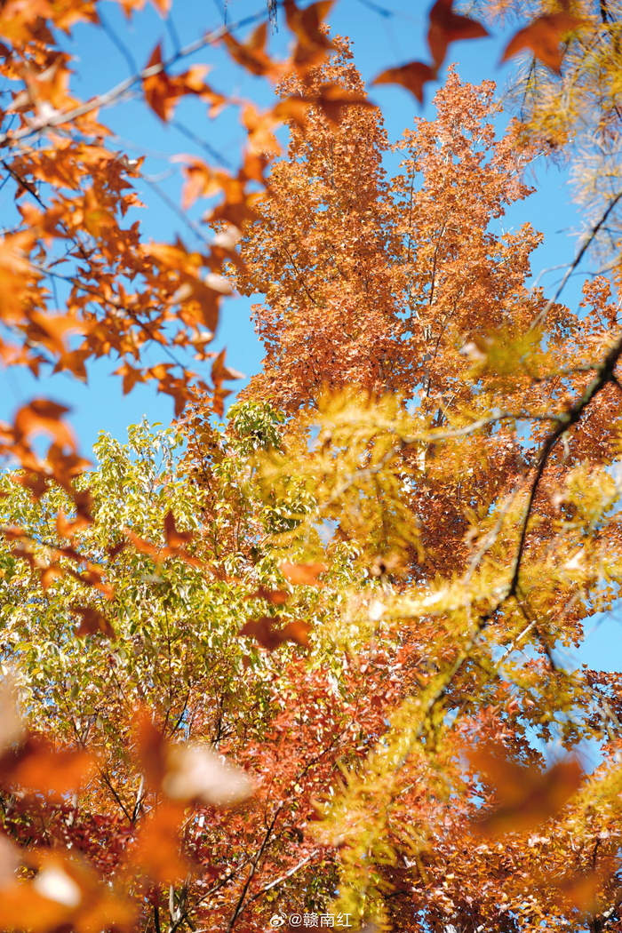 threejs获取模型坐标 threejs设置物体位置