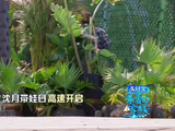 沈月全程陪伴孩子显耐心