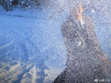 魏大勋发博手动给粉丝下雪