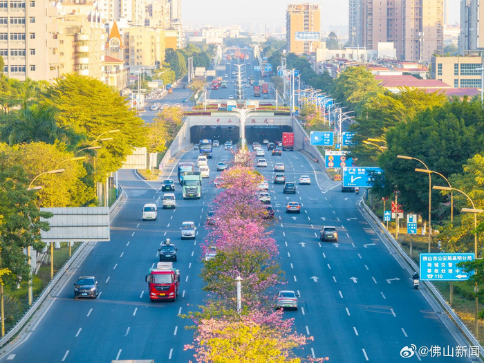 佛山晨光勉励脚踏实地从容前行