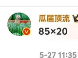 鞠婧祎主演《万花世界》共85集，每集20分钟