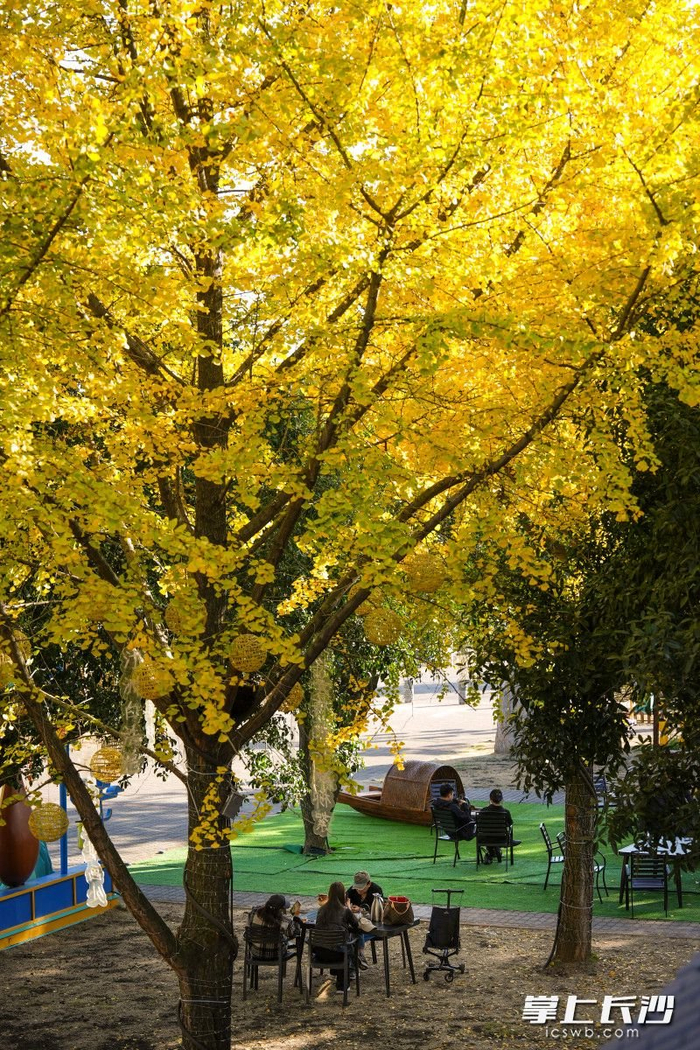海外知名鱼油品牌
