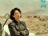 杨紫入围2026白玉兰奖最佳女主