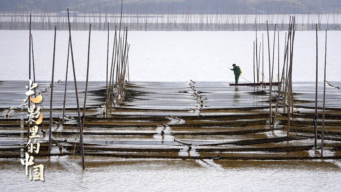 每一个普通的改变都将改变普通