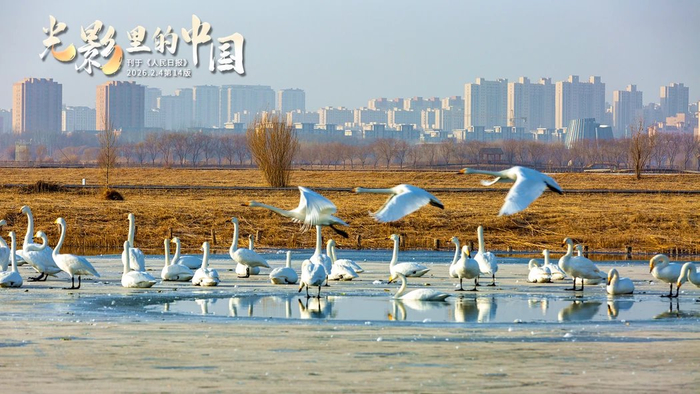 总有一声春雷冲破沉寂，一蓑春雨治愈孤独，一缕春意携你前行