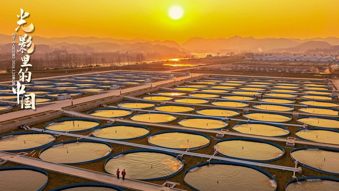 10件小事助你快速充满电