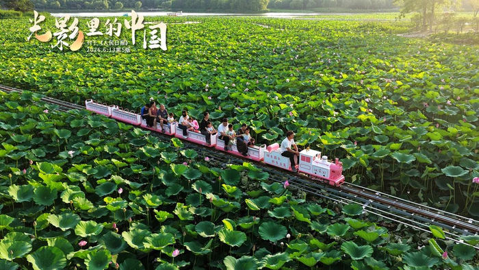 瓦尔泽《夏天》引共鸣：在最热烈季节活出自己