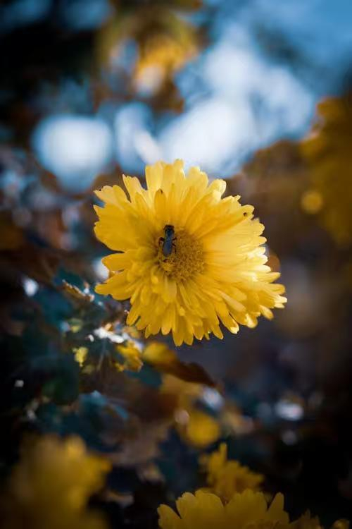 男子失业两年花30万开店两月倒闭，夫妻互怨闹离婚