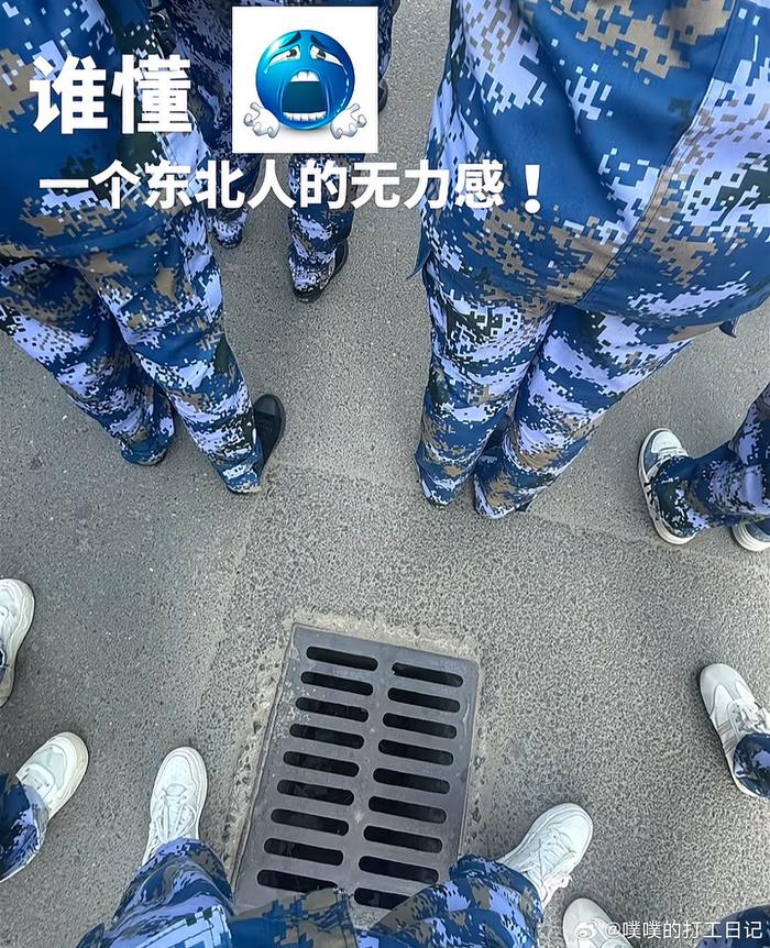 东北网友分享生活无力感引共鸣