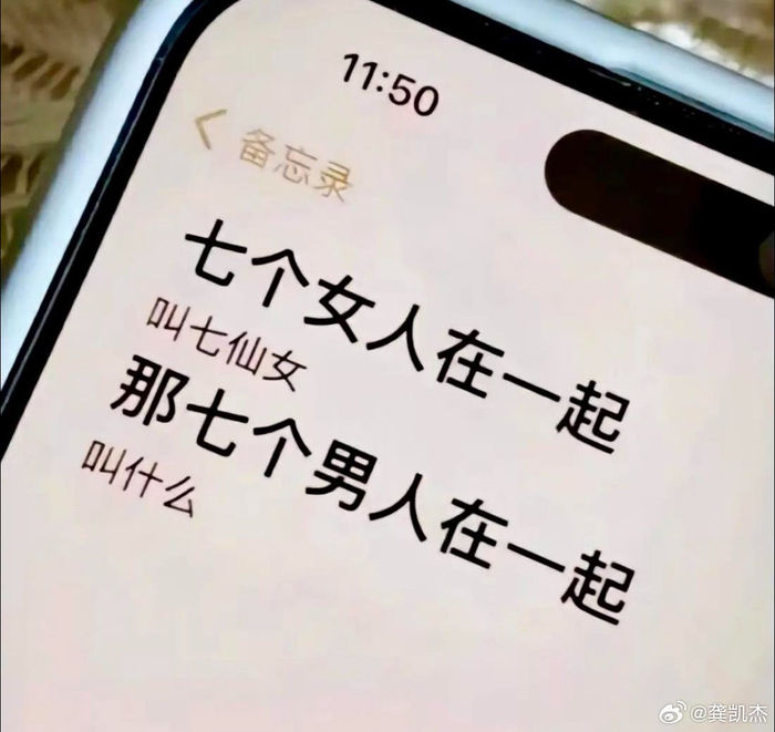 七仙女引热议，七男子称谓引思考