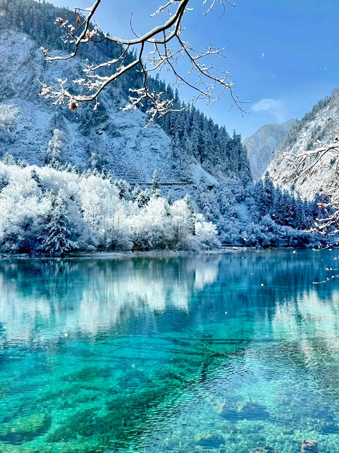 早安问候引发积极人生态度讨论