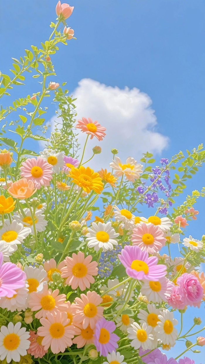 早安问候引发冬日对话期待