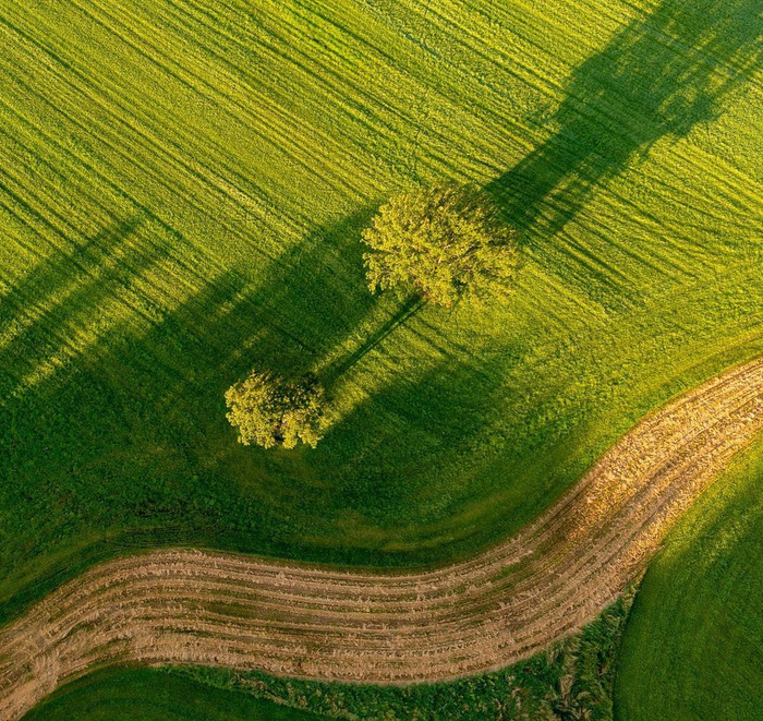 四季轮回自然规律