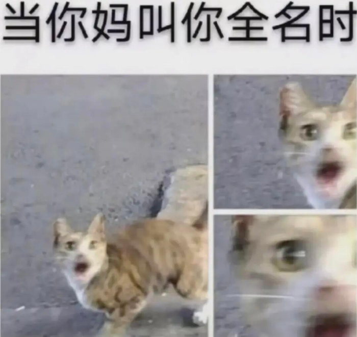 妈妈双标日常：拒绝帮忙又吐槽无人帮