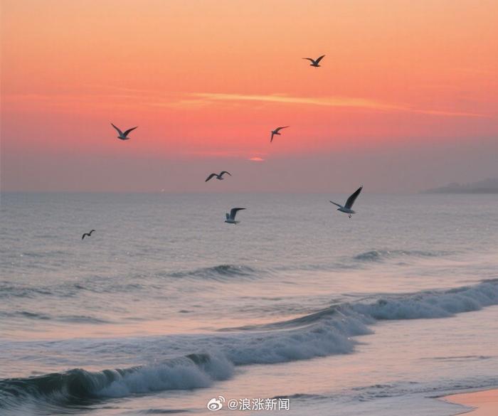 早安问候开启新一天，愿你被世界温柔以待