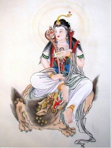 许愿有求必应引发网友互动