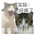 全球热没抢到肖战演唱会门票
