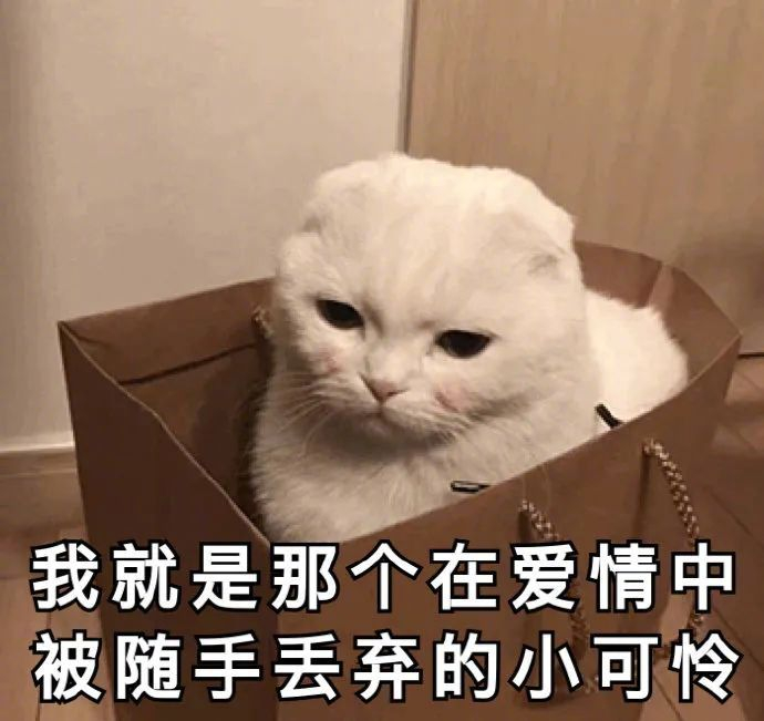 网友分享爱情表情包引发共鸣