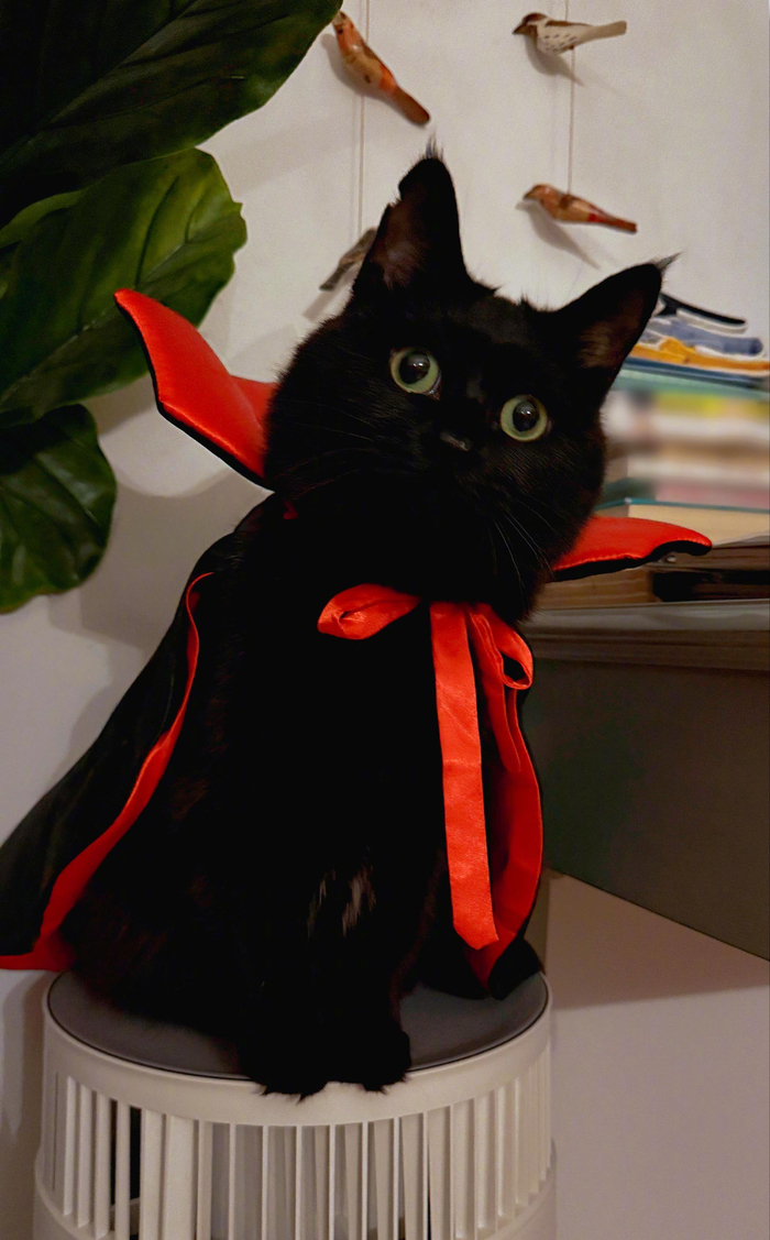 女孩扮德古拉伯爵斗机器人遭嘲小黑猪