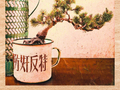 冯小刚称抓特务实花1.65亿