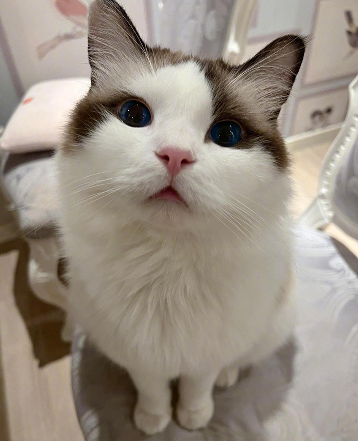 女儿趴书听故事与母亲共读温馨时刻