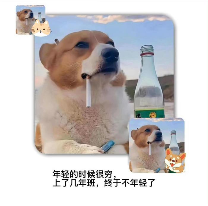 网友调侃生活困境称希望论斤卖