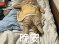 网友发布晚安寄语愿后会有期别来无恙