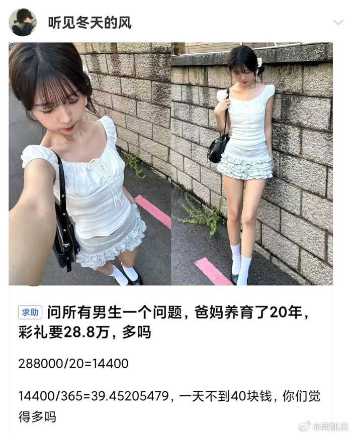 男子质疑父母20年养育成本与28.8万彩礼比例