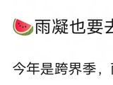 刘宇宁侯明昊任素汐加盟歌手2026跨界季