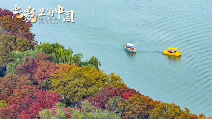 好好说话需安放情绪真诚倾听把握分寸