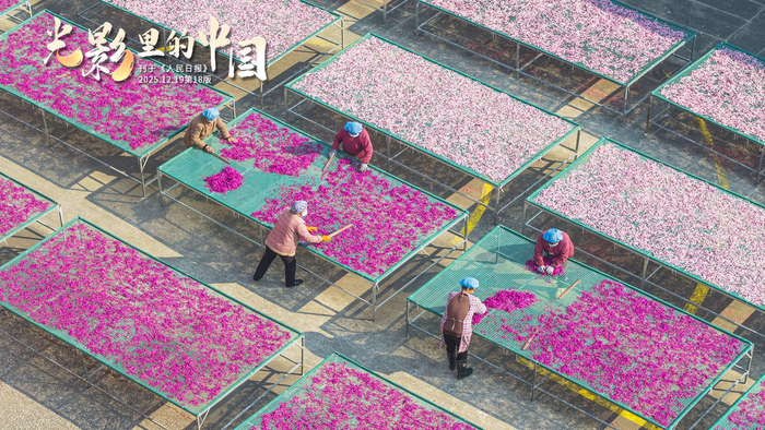 夺回人生主体性停止内耗的六个方法