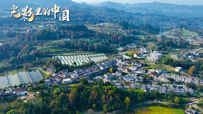 2026年与能激活你状态思维内心的人同行