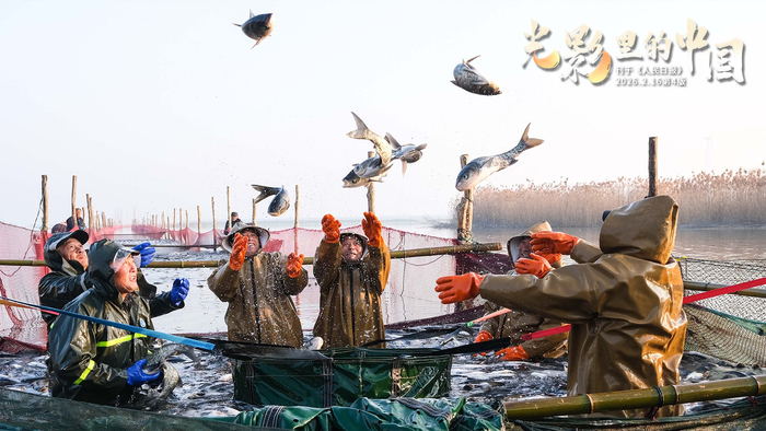 夺回人生主体性拒绝内耗，做自己人生的创造者